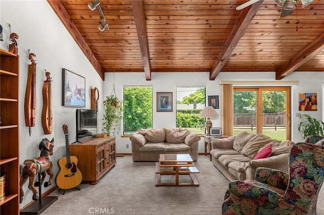 512 S Crawford Ave, Willows, CA 95988 - living room with carpet floors, wood ceiling, healthy amount of natural light, a ceiling fan, and track lighting