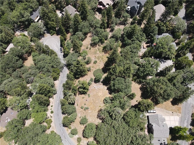 30209 Elfin Ct, Running Springs, CA 92382