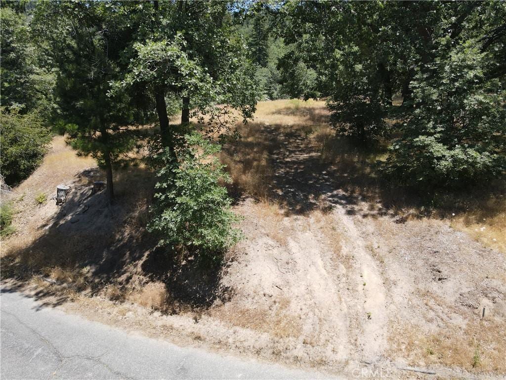 30209 Elfin Ct, Running Springs, CA 92382