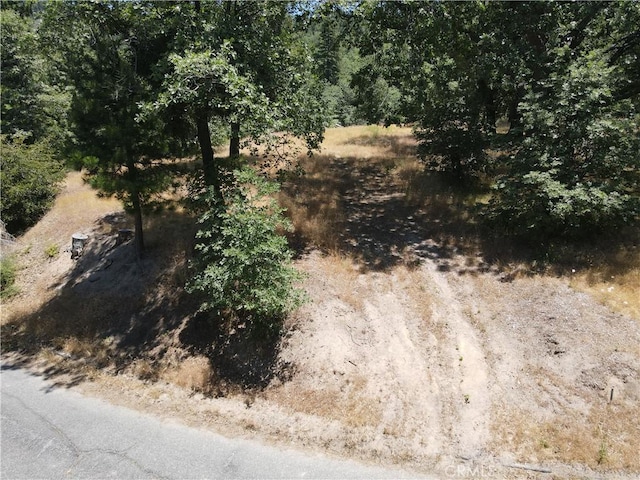 30209 Elfin Ct, Running Springs, CA 92382