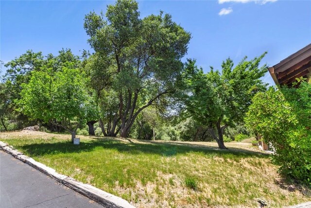 22665 Prospect, Groveland, CA 95321 - photo 53