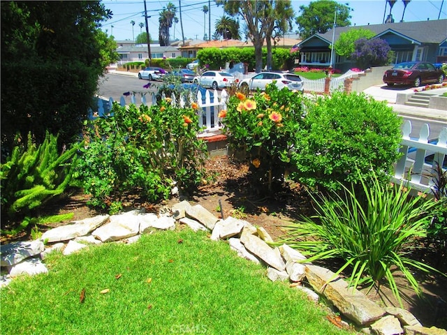 3031 S Denison Ave, San Pedro, CA 90731 - view of yard