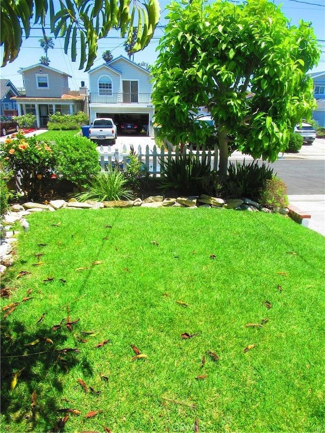 3031 S Denison Ave, San Pedro, CA 90731 - view of green lawn