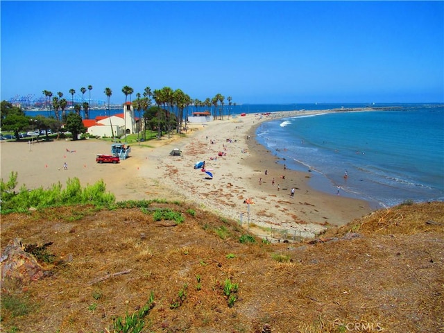 3031 S Denison Ave, San Pedro, CA 90731 - water view with nearby beach