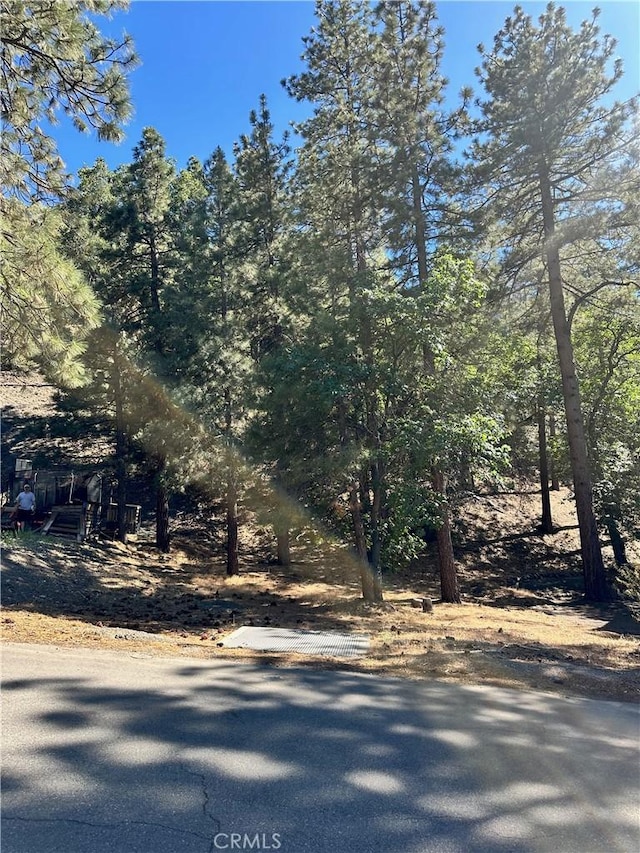 0 Heath Creek Dr, Wrightwood, CA 92397