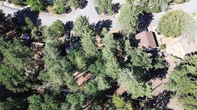 0 Heath Creek Dr, Wrightwood, CA 92397