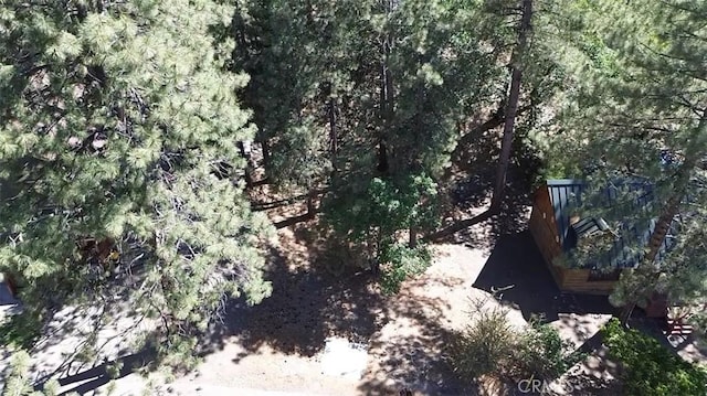 0 Heath Creek Dr, Wrightwood, CA 92397