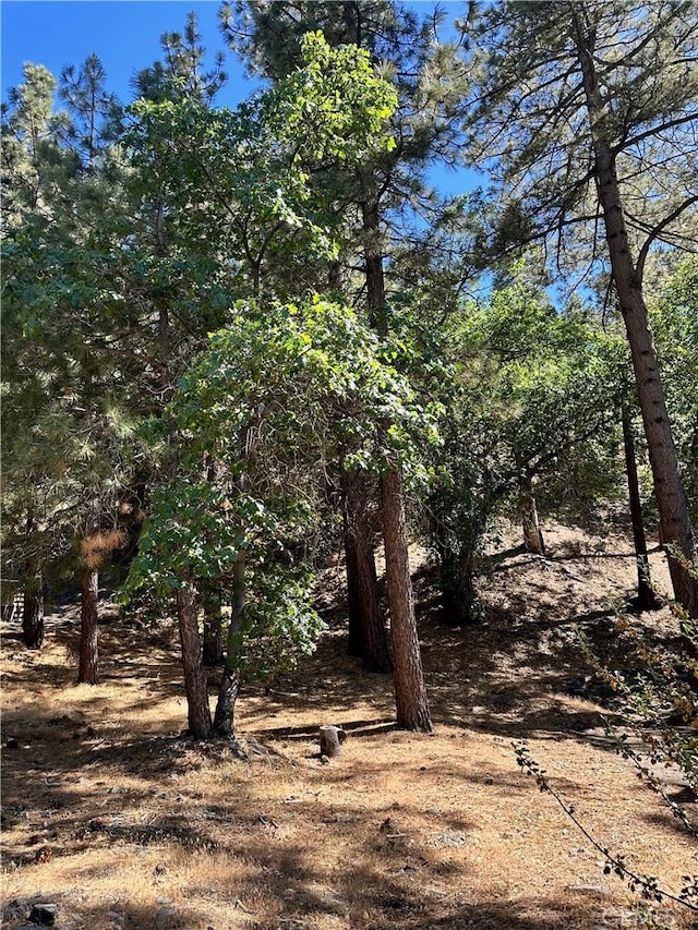 0 Heath Creek Dr, Wrightwood, CA 92397