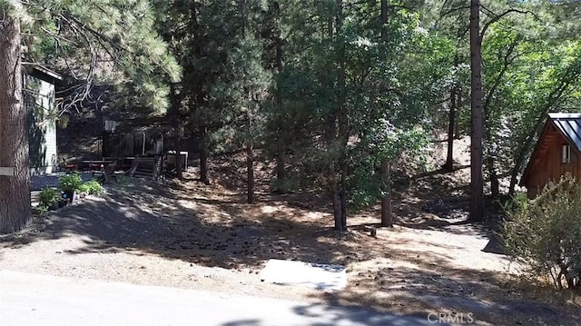 0 Heath Creek Dr, Wrightwood, CA 92397