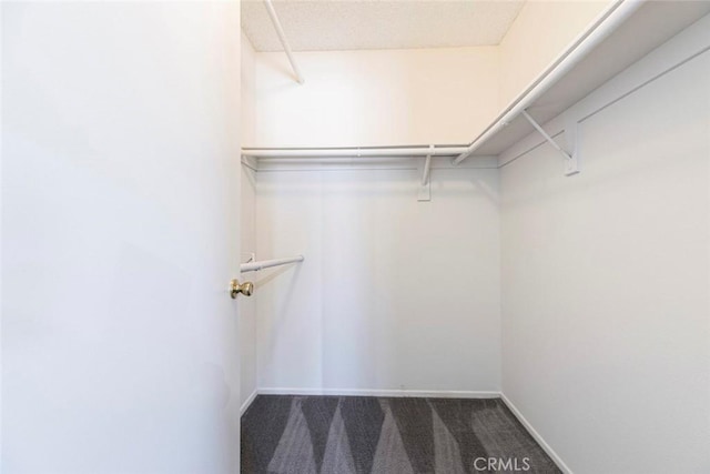 12411 Osborne St Unit 114, Pacoima, CA 91331 - walk in closet with dark carpet