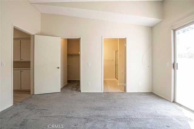 12411 Osborne St Unit 114, Pacoima, CA 91331 - unfurnished bedroom with carpet flooring, a spacious closet, vaulted ceiling, a closet, and connected bathroom