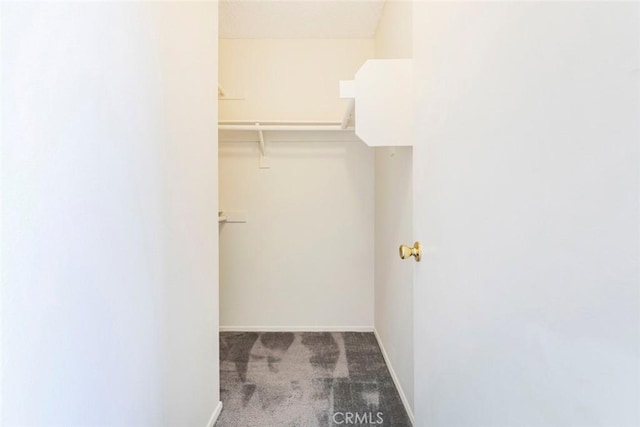 12411 Osborne St Unit 114, Pacoima, CA 91331 - walk in closet featuring carpet floors