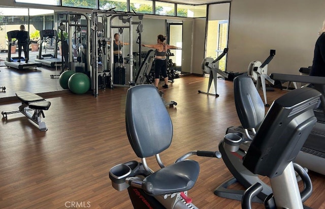 2358 Via Mariposa E Unit B, Laguna Woods, CA 92637 - exercise room with expansive windows, healthy amount of natural light, and wood finished floors