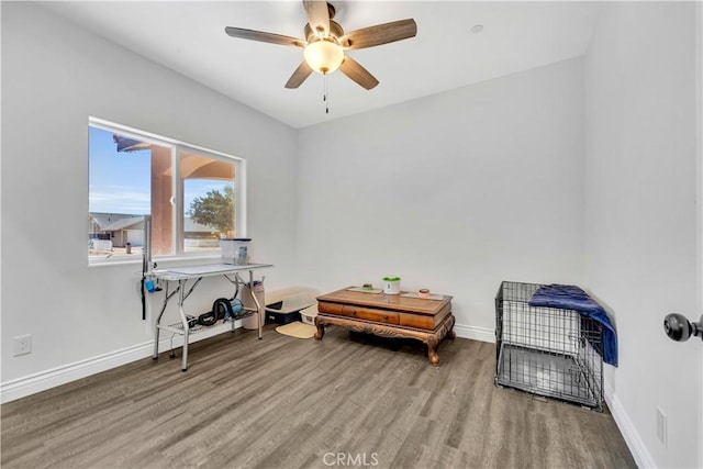 9817 Susan Ave, California City, CA 93505 - photo 18