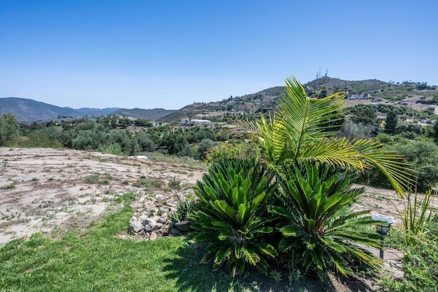1309 Sunny Heights Rd, Fallbrook, CA 92028 - photo 48