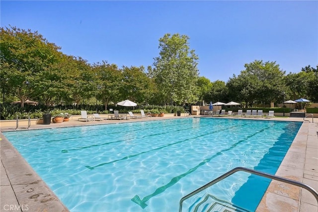 78 Windchime, Irvine, CA 92603 - community pool with a patio area and view of scattered trees