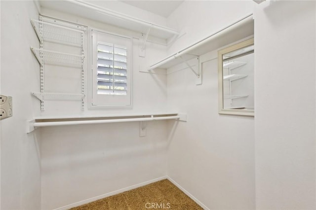 78 Windchime, Irvine, CA 92603 - spacious closet featuring carpet