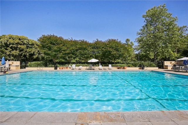 78 Windchime, Irvine, CA 92603 - community pool with view of scattered trees and a patio area