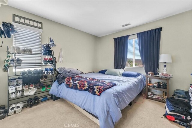 4114 Larkspur St, Lake Elsinore, CA 92530 - photo 36
