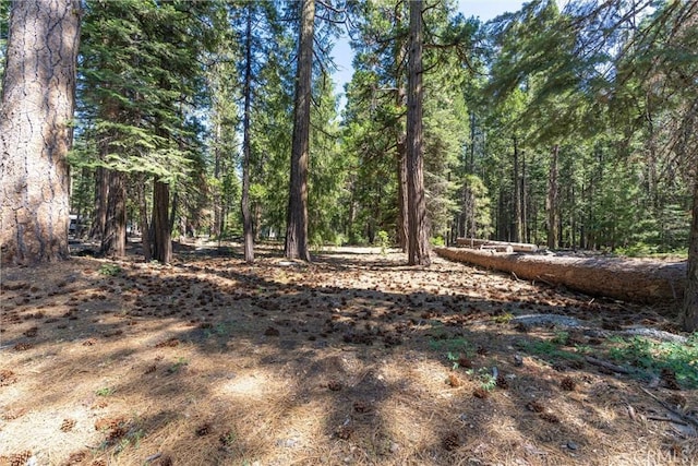 7472 Humboldt Rd, Butte Meadows, CA 95942 - view of woods