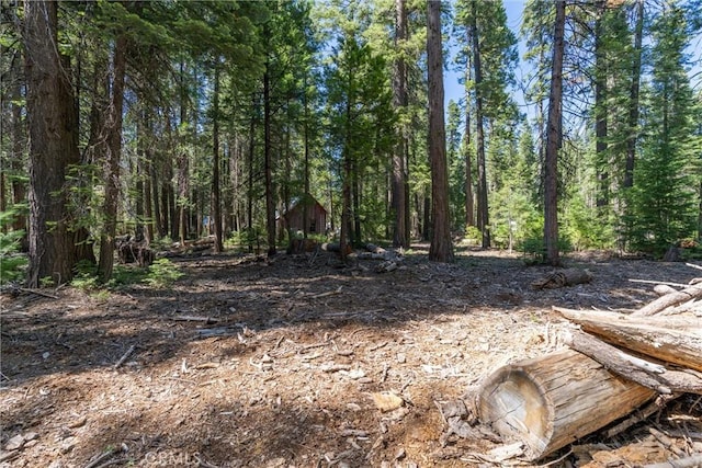 7472 Humboldt Rd, Butte Meadows, CA 95942 - view of tree filled area