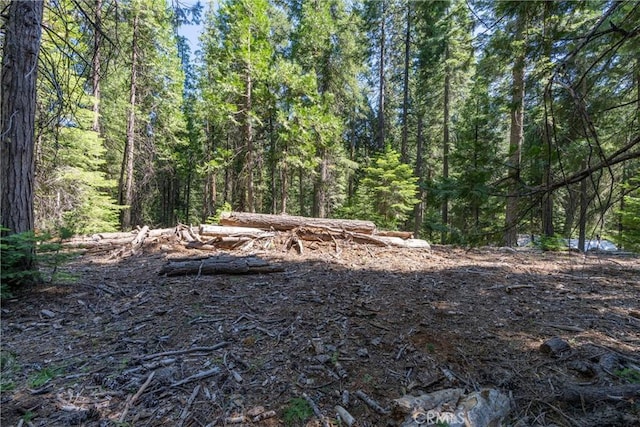 7472 Humboldt Rd, Butte Meadows, CA 95942 - view of wooded area
