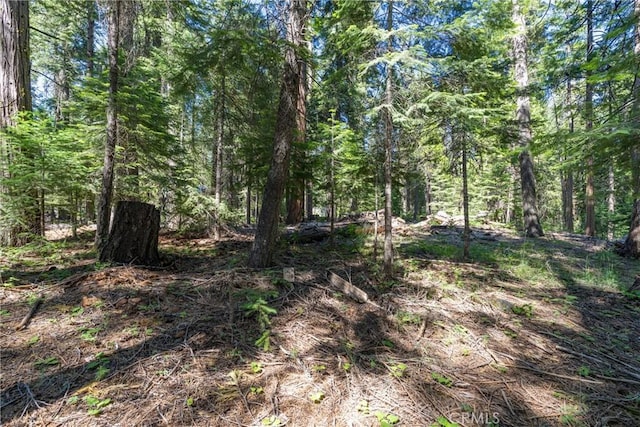 7472 Humboldt Rd, Butte Meadows, CA 95942 - view of tree filled area