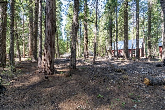 7472 Humboldt Rd, Butte Meadows, CA 95942 - view of yard featuring a view of trees