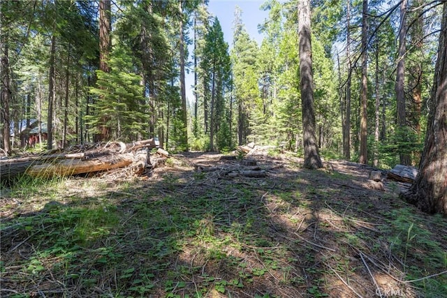 7472 Humboldt Rd, Butte Meadows, CA 95942 - view of tree filled area