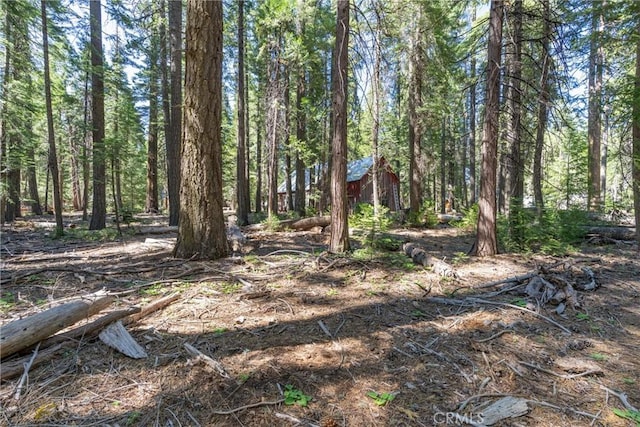 7472 Humboldt Rd, Butte Meadows, CA 95942 - view of woods