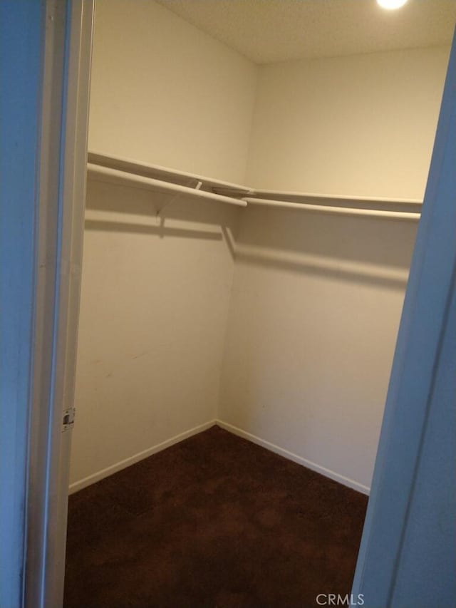 43731 8th St E, Lancaster, CA 93535 - walk in closet with dark colored carpet