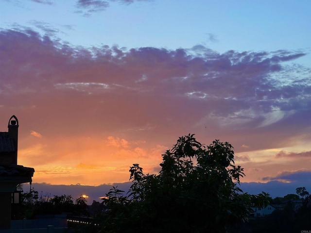 1349 Pyramid Peak St, Chula Vista, CA 91913 - view of nature