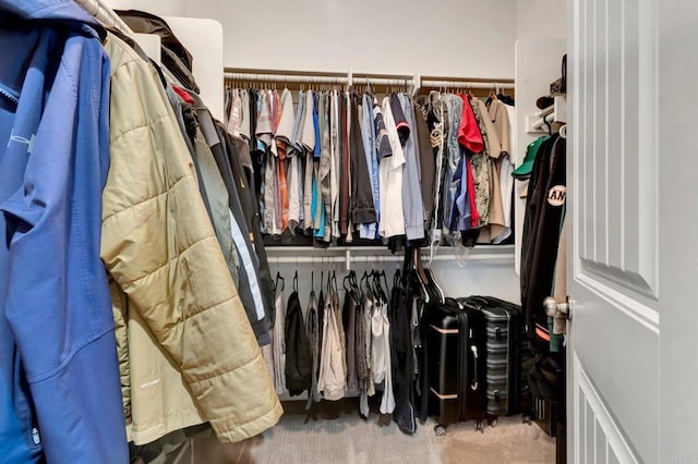 1349 Pyramid Peak St, Chula Vista, CA 91913 - spacious closet featuring carpet