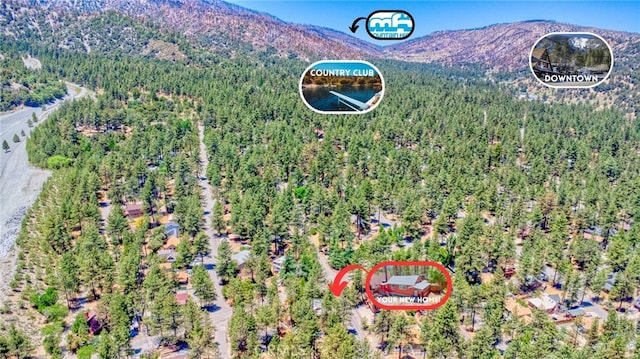 1815 Thrush Rd, Wrightwood, CA 92397 - view of property location with mountains and a heavily wooded area