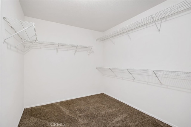 31257 Casera Ct, Menifee, CA 92584 - walk in closet with dark colored carpet