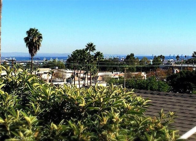 1836 Jaybrook Dr, Rancho Palos Verdes, CA 90275 - view of home's community
