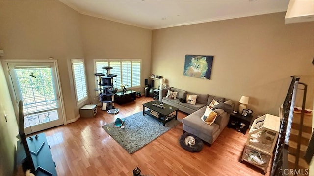 5241 Colodny Dr Unit 403, Agoura Hills, CA 91301 - living area with healthy amount of natural light, wood finished floors, and crown molding