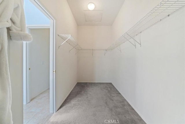 12744 Palmetto Ct, Riverside, CA 92503 - walk in closet featuring light colored carpet and attic access