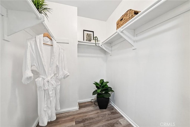 628 Daisy Ave Unit 316, Long Beach, CA 90802 - walk in closet with wood finished floors
