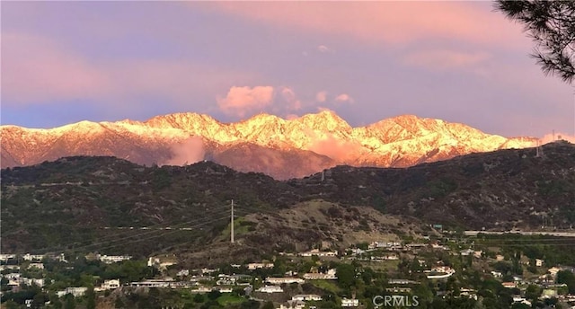 1960 Polaris Dr, Glendale, CA 91208 - view of mountain background