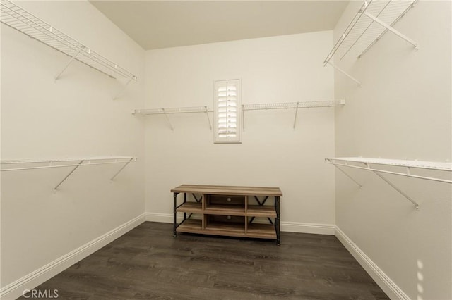 3120 Tara, Costa Mesa, CA 92626 - walk in closet with dark wood-type flooring