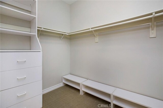 6 Via Amanti, Newport Coast, CA 92657 - walk in closet featuring carpet floors