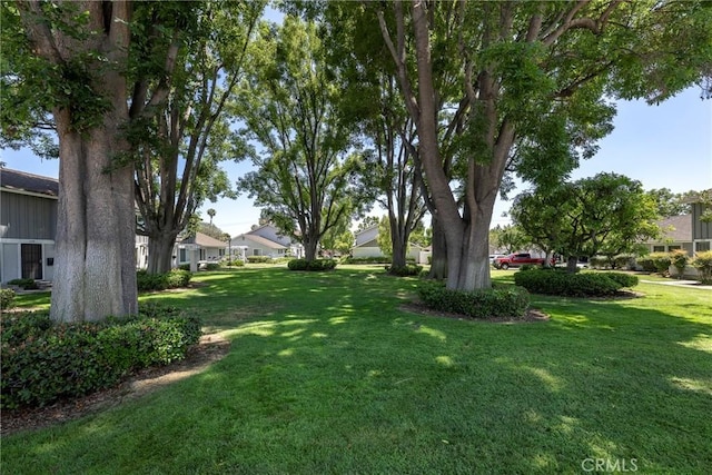 2302 Cayuga Ave, Placentia, CA 92870 - view of green lawn featuring a residential view