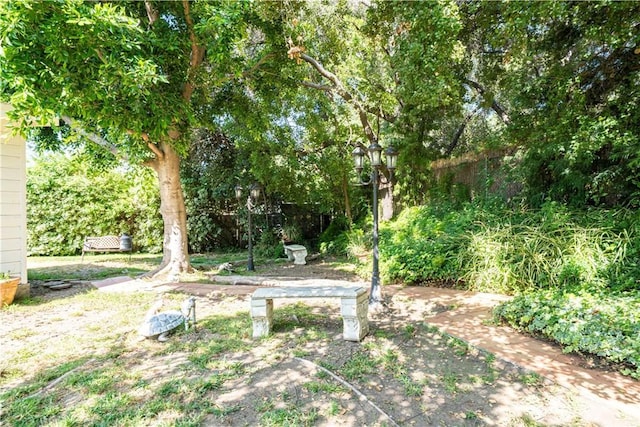 1125 Indian Springs Dr, Glendora, CA 91741 - view of yard