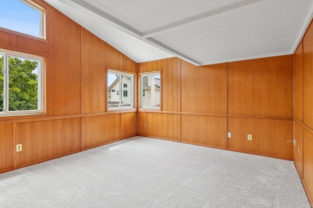 10559 Lansford Ln, San Diego, CA 92126 - spare room with carpet, lofted ceiling, and wooden walls
