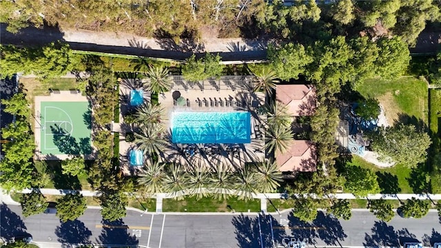 24 Lacebark Unit 48, Irvine, CA 92618 - photo 40