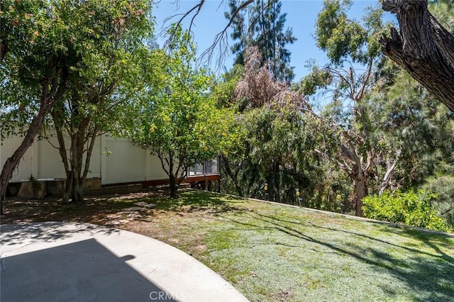 1835 Las Flores Dr, Glendale, CA 91207 - view of green lawn with a patio