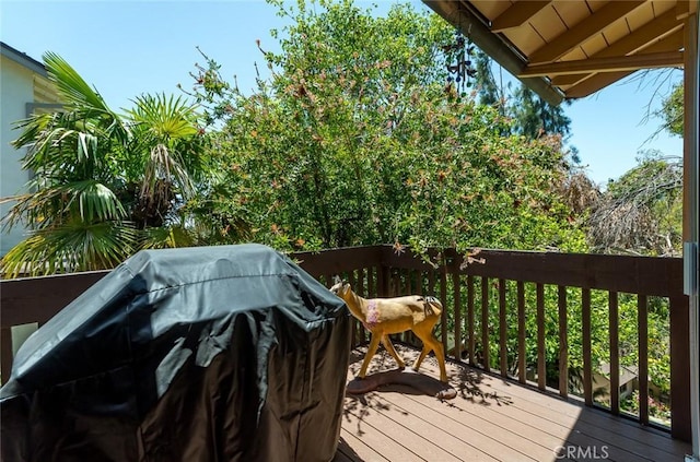 1835 Las Flores Dr, Glendale, CA 91207 - deck with area for grilling