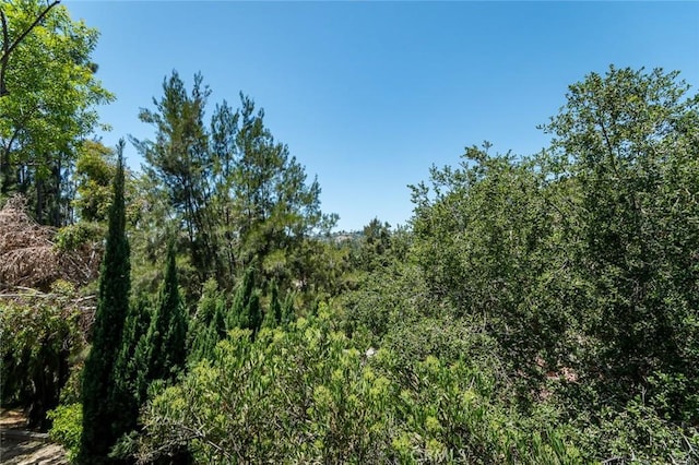 1835 Las Flores Dr, Glendale, CA 91207 - view of tree filled area