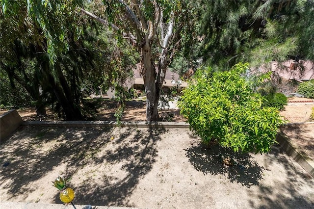 1835 Las Flores Dr, Glendale, CA 91207 - view of yard